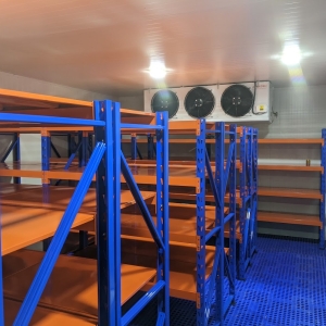 giao-lap-ke-trung-tai-gia-tot-o-tphcm